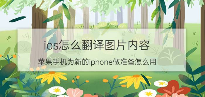 ios怎么翻译图片内容 苹果手机为新的iphone做准备怎么用？